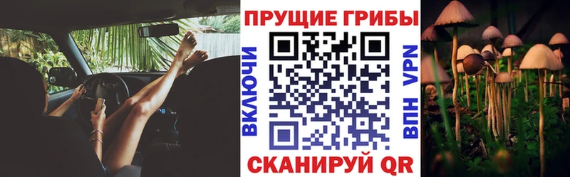 Галлюциногенные грибы прущие грибы  где найти   Звенигово 